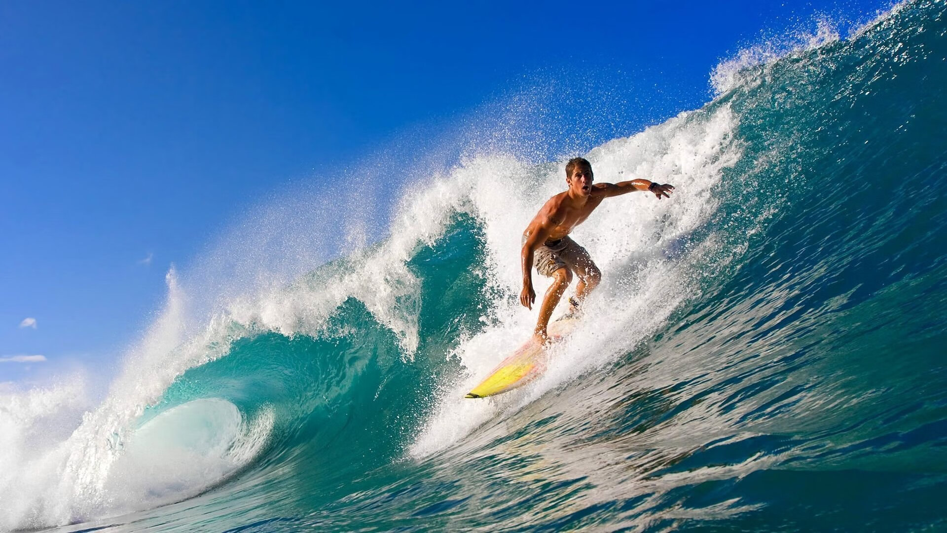 九游jiuyou-体育新闻中心发布体育文化遗产传播数字方案，体育文化的传承与创新