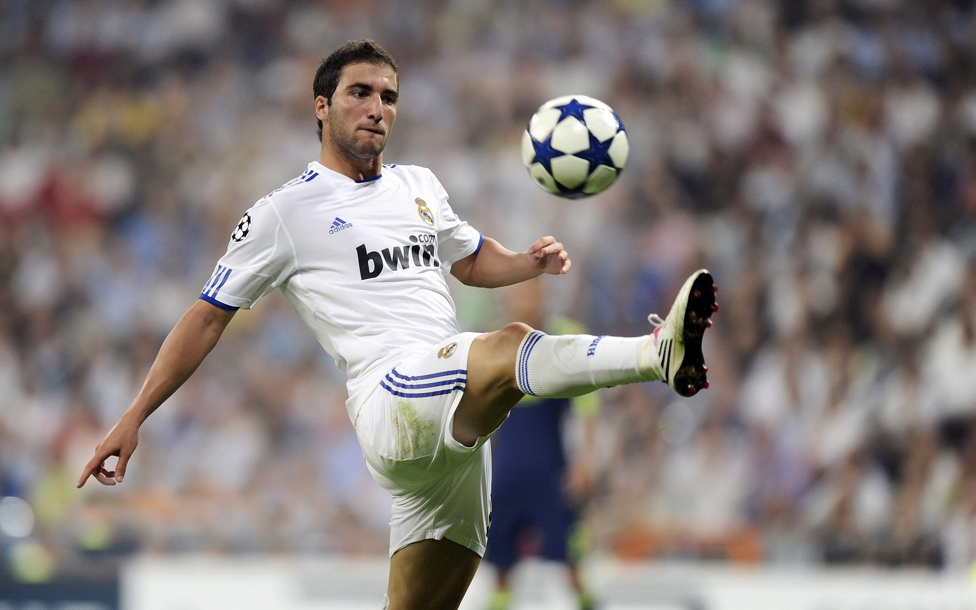 德甲青训营吸引大量年轻才俊加盟,德甲青训体系