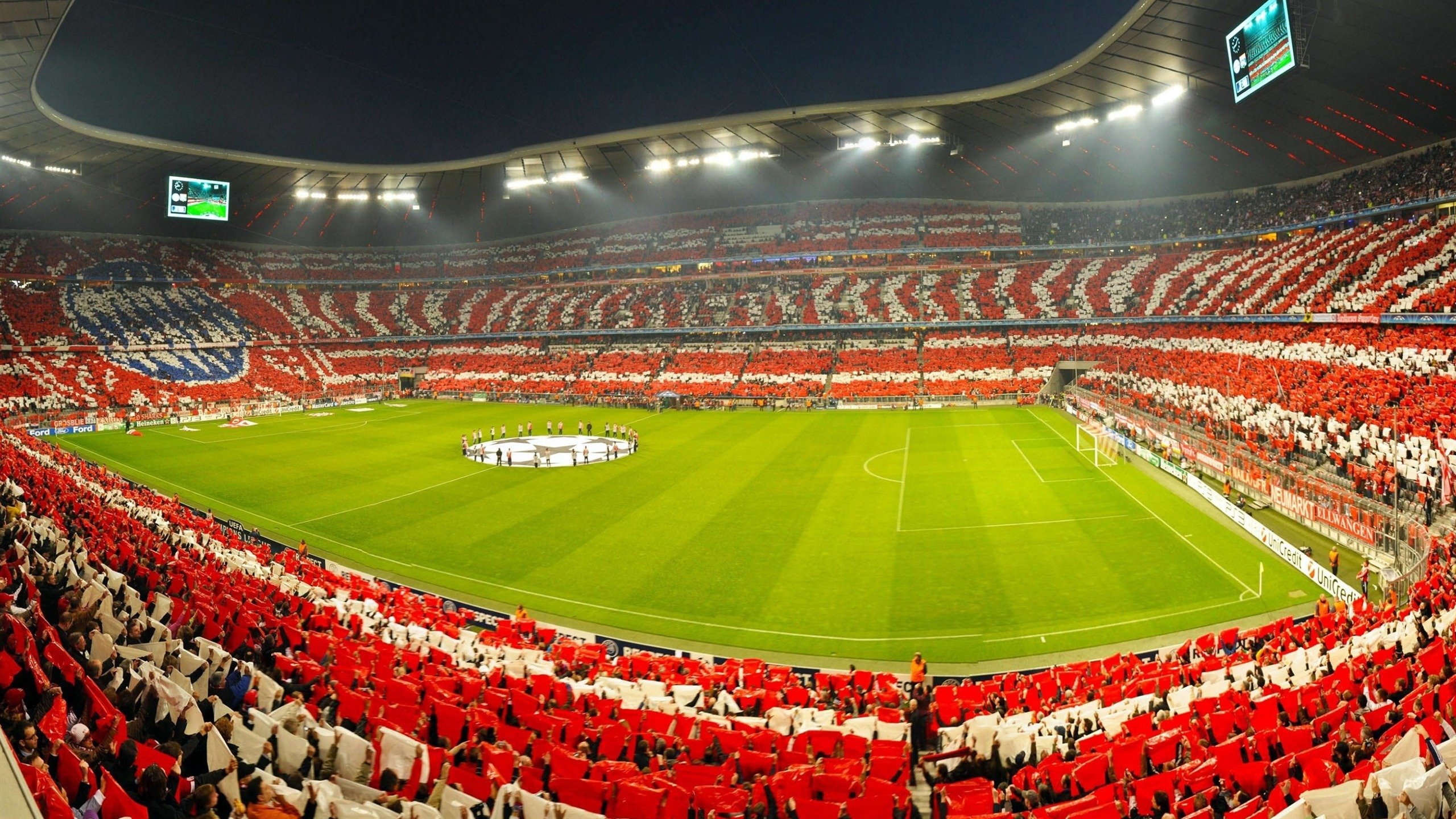 球迷“疯狂打call”:现场气氛点燃全场,球迷狂欢